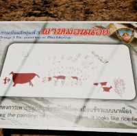 ภาพเขียนสีผาแต้ม จ.อุบลราชธานี
