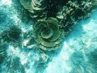 Scuba diving at Ko Bida Nok