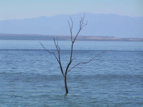 ソルトン湖 リバーサイド の旅行レビュー Trip Comトラベルガイド