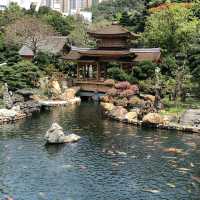 Quiet Paradise in the heart of Hong Kong