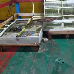 罗源湾77号渔排 User Photo