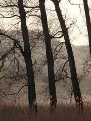 Mount Zipeng National Forest Park