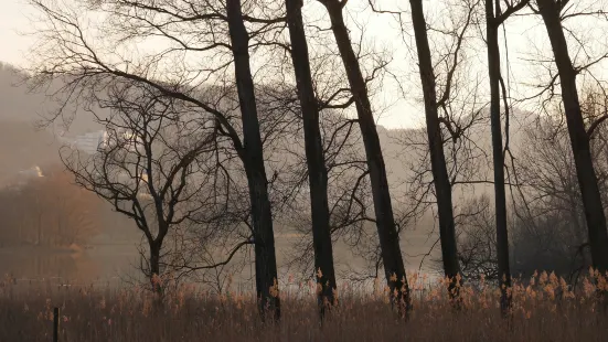 Mount Zipeng National Forest Park