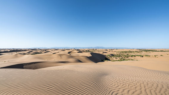 Kubuqi Desert
