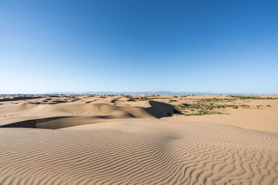 쿠부치사막