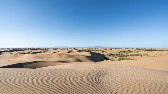 Hotels near Kubuqi Desert