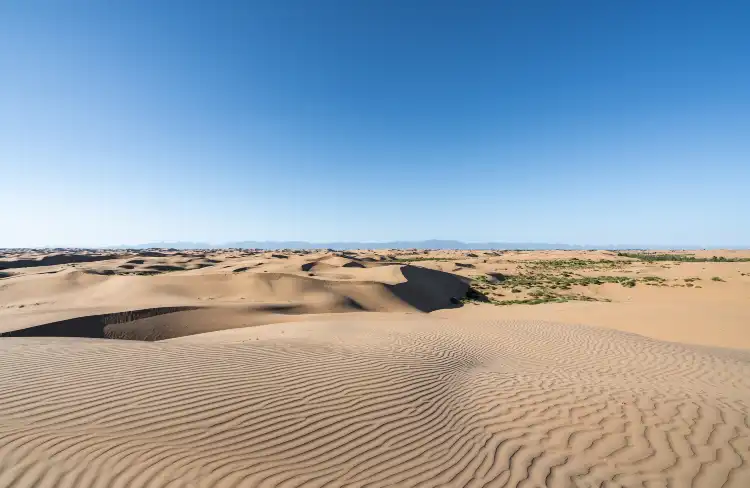 Hotels near Kubuqi Desert