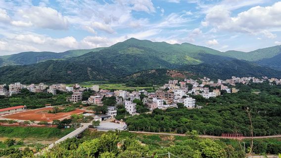 Dingying Litchi Forest Park