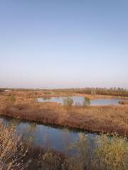 Longju Yellow River Forest Tourism Zone