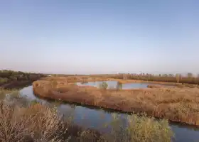 Longju Yellow River Forest Tourism Zone