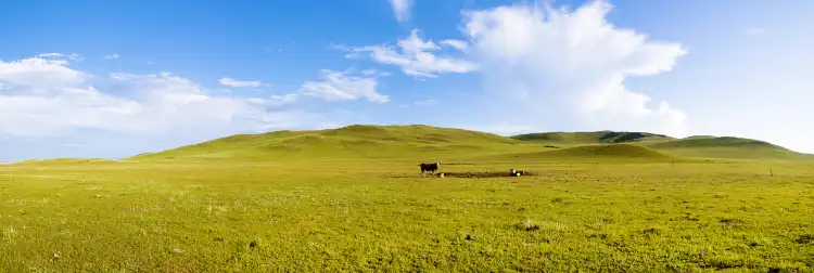 Hotels near Xilingol Grassland