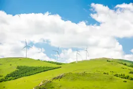南山牧場