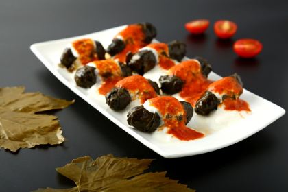 Efes Turkish & Mediterranean Cuisine