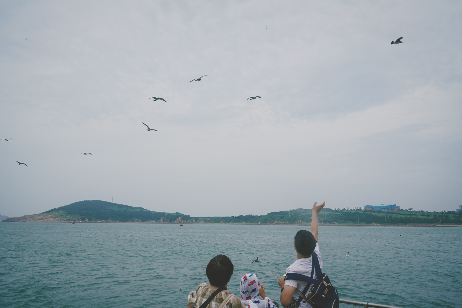 海驢島旅遊攻略指南 海驢島評價 海驢島附近推薦 Trip Com