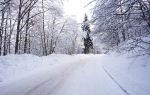 Kushiro Shitsugen National Park