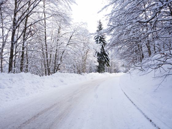 Kushiro Shitsugen National Park