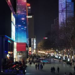 Blue Frog (Aqua City) User Photo
