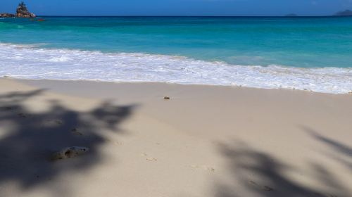 Playa Delfines