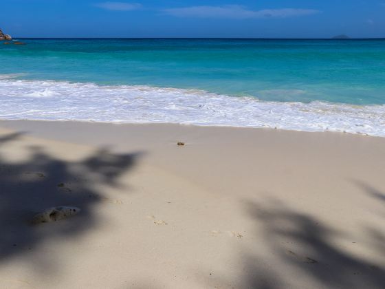 Playa Delfines