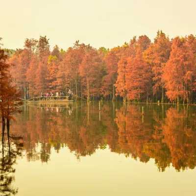 Разрешено размещения с домашними животными Отели в г. Чучжоу