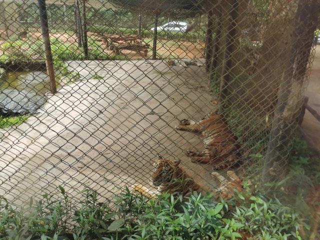 Hainan Tropical Wildlife Park