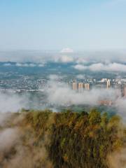 Chongqing Phoenix Mountain