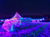 【不能錯過的東京樂園 - 讀賣樂園】 燈飾規模大到好誇張