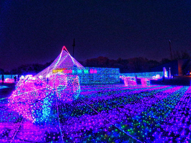 【不能錯過的東京樂園 - 讀賣樂園】 燈飾規模大到好誇張