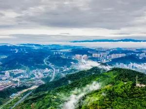 시팡산 식물원