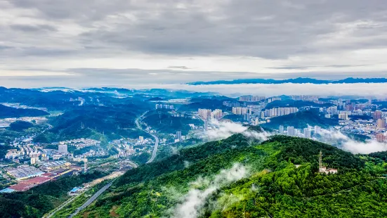 시팡산 식물원