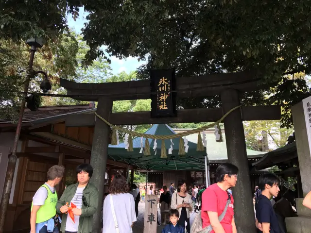 鯛みくじがかわいい「氷川神社」