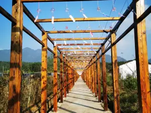 Zixi County Dajue Creek Scenic Area