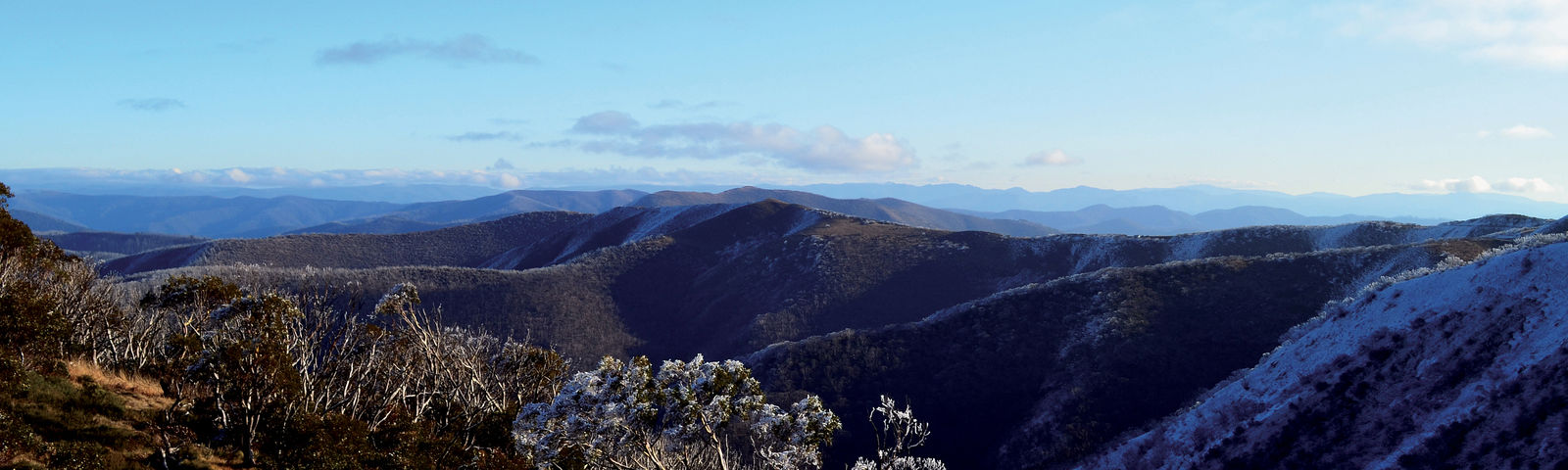 MansfieldTour giornalieri