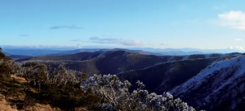 曼斯菲爾德酒店