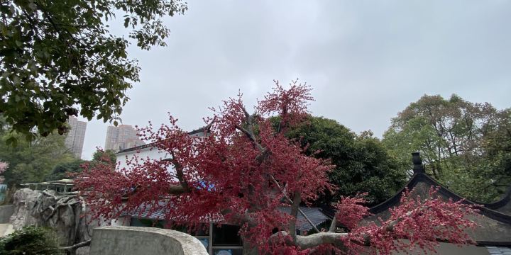 Shifeng Zoo