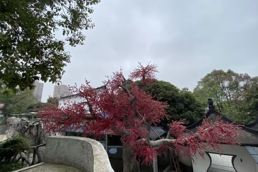 石峰動物園