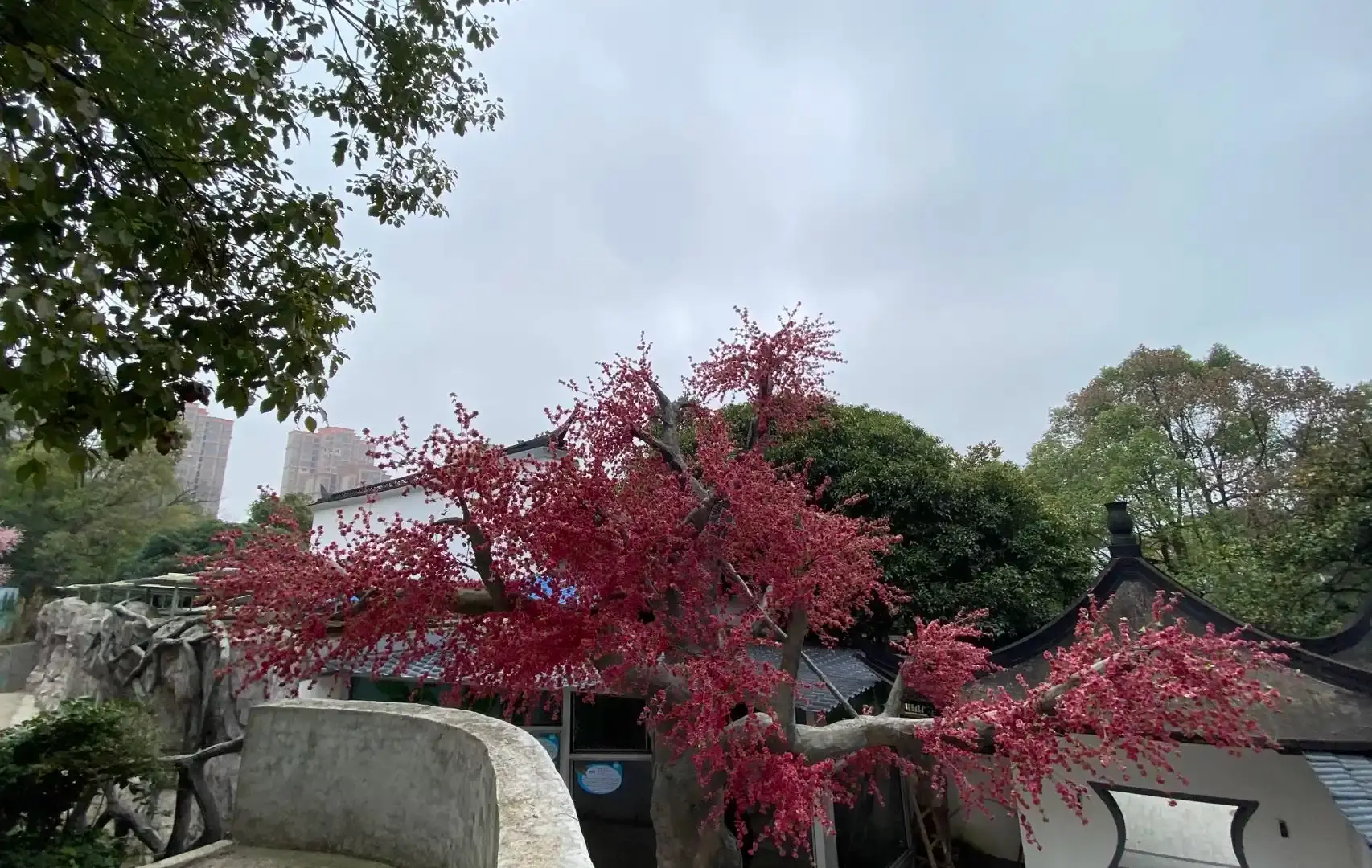 Hotels near Shifeng Zoo