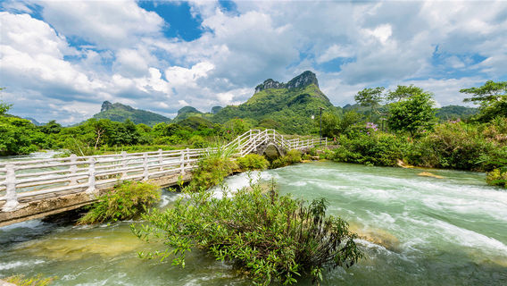 Detian Old Kapok Scenic Area