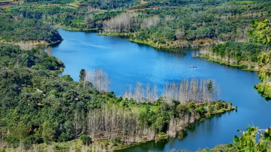 Mengjin Yellow River Wetland Natural Reserve