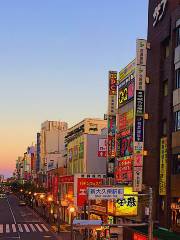 Shin-Okubo Station