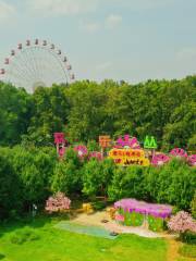 Donghumo Shan Huanle Conglin Amusement Park