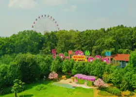 Donghumo Shan Huanle Conglin Amusement Park