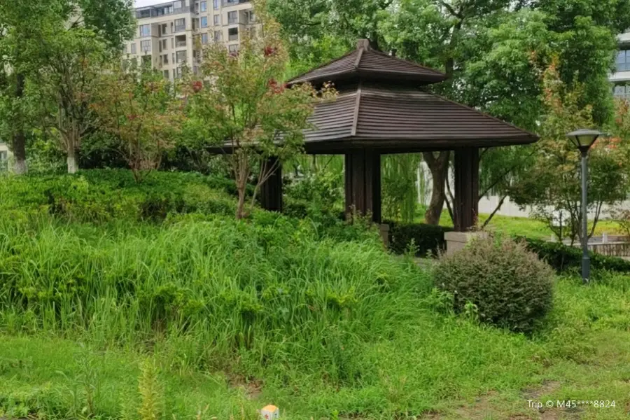 Zhangxin Park