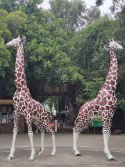 Zhongshan Park Zoo