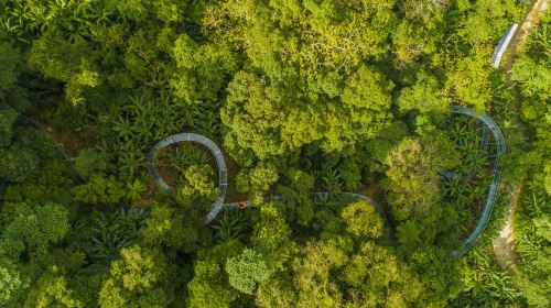 Hainan Baihualing Rainforest Cultural Tourism Zone