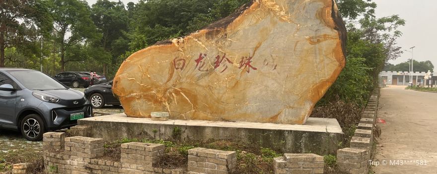 Bailong Pearl Town