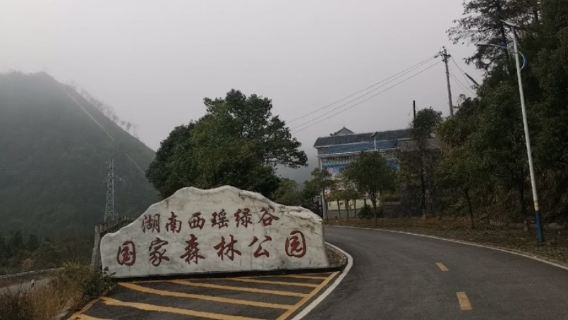 xi yao lv gu guo jia sen lin gong yuan