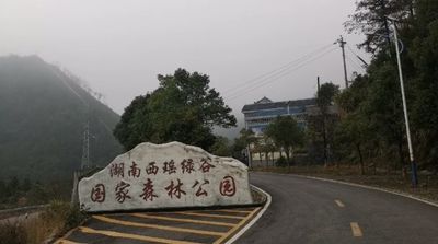 xi yao lv gu guo jia sen lin gong yuan