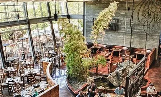 Stone Brewing World Bistro & Gardens - Escondido