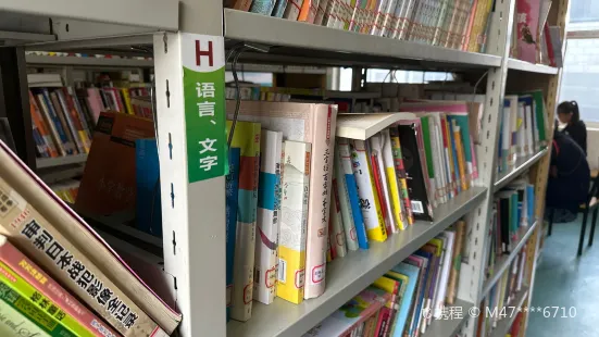 Danchengxian Library